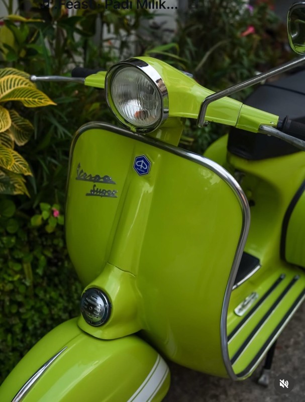 vespa super , vert pomme , restauration complète, carte grise française de collection, paris 