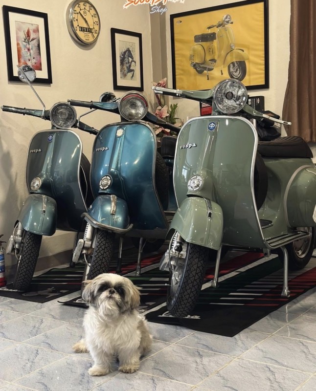La Vespazienne : Artisan d’Exception Spécialiste de la Restauration et Vente de Vespa Vintage